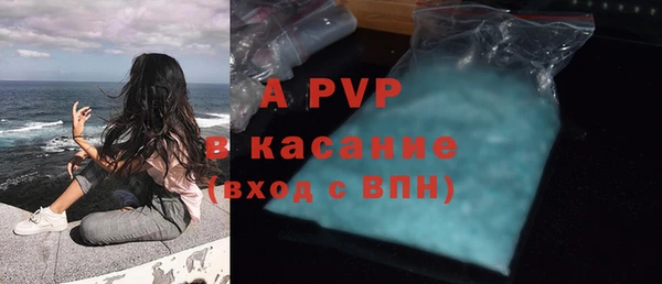 ECSTASY Белокуриха